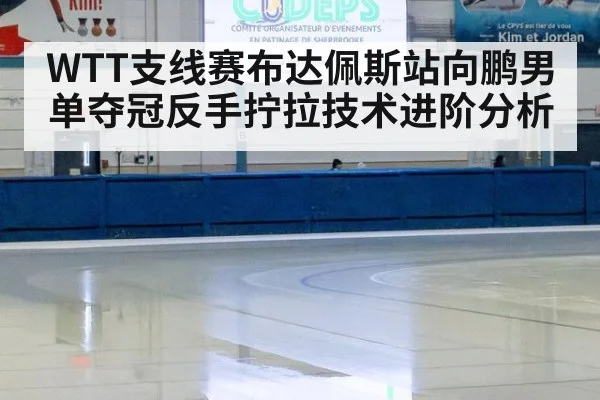 WTT支线赛布达佩斯站向鹏男单夺冠反手拧拉技术进阶分析